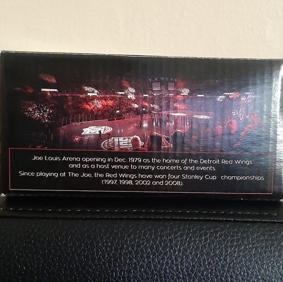 NHL Joe Louis Arena Replica - Picture 6 of 7